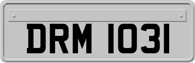 DRM1031
