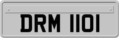 DRM1101