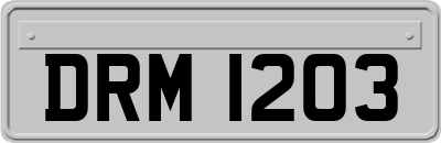 DRM1203