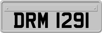 DRM1291