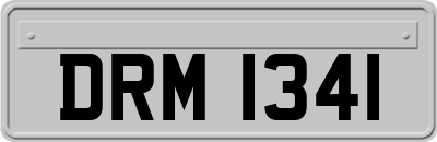 DRM1341