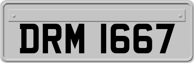 DRM1667