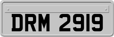 DRM2919