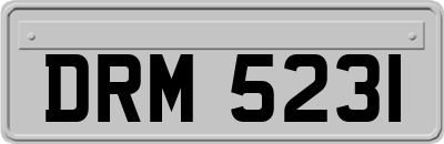 DRM5231