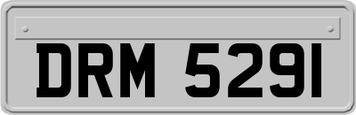 DRM5291