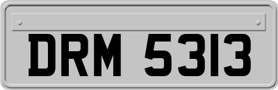 DRM5313