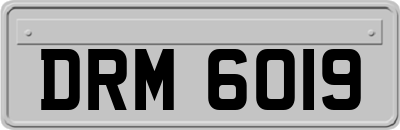 DRM6019