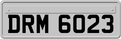 DRM6023
