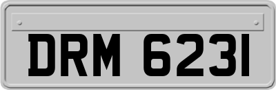 DRM6231