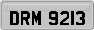 DRM9213
