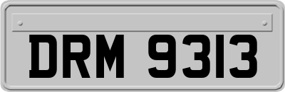 DRM9313