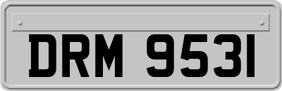 DRM9531