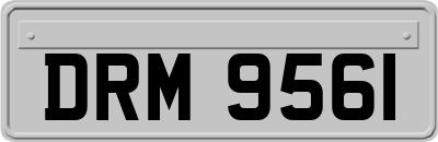 DRM9561