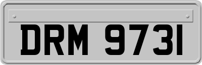 DRM9731