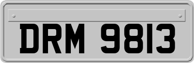 DRM9813