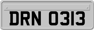 DRN0313