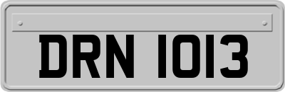 DRN1013
