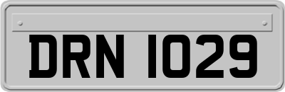 DRN1029