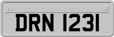 DRN1231