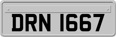 DRN1667