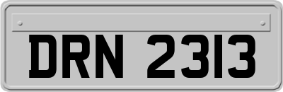 DRN2313