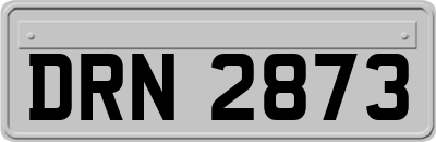 DRN2873