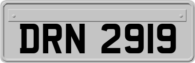 DRN2919