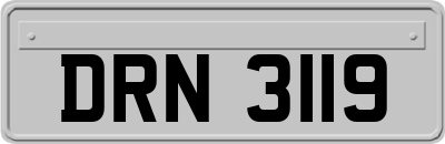 DRN3119