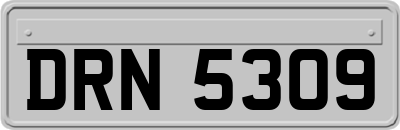 DRN5309