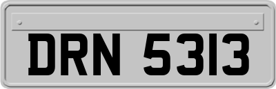 DRN5313