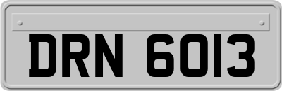 DRN6013