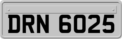 DRN6025