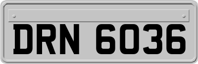 DRN6036
