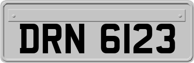 DRN6123