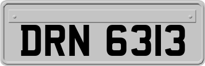 DRN6313