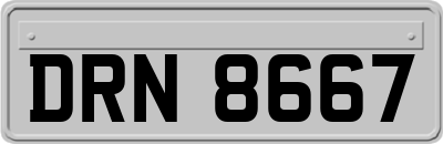 DRN8667