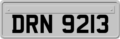 DRN9213