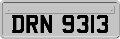 DRN9313