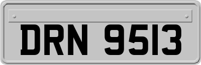 DRN9513