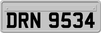DRN9534