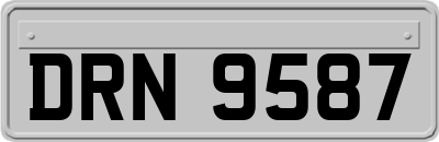 DRN9587