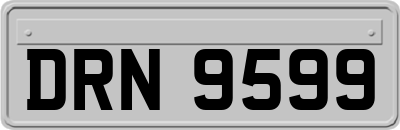 DRN9599