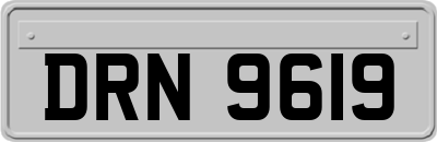 DRN9619