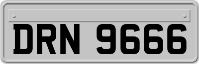 DRN9666