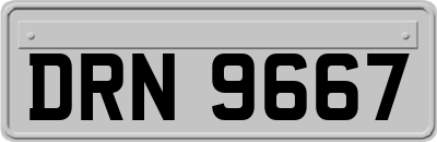 DRN9667