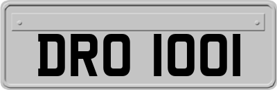 DRO1001