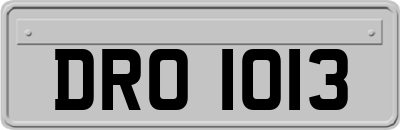 DRO1013