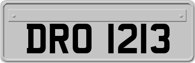 DRO1213