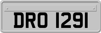 DRO1291