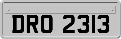 DRO2313